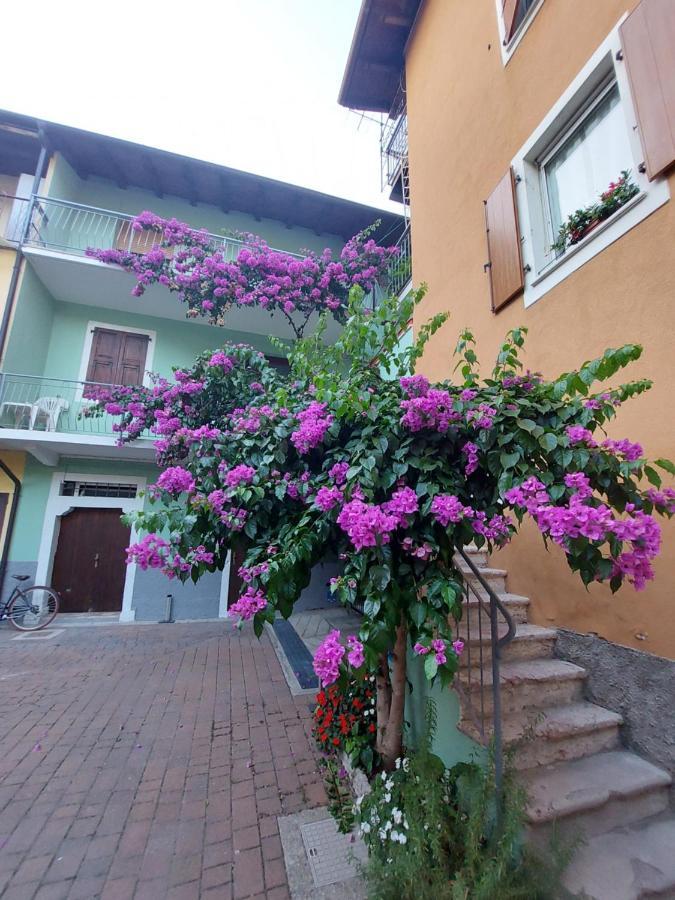 La Bougainville - Luxury Apartment Торболе Экстерьер фото